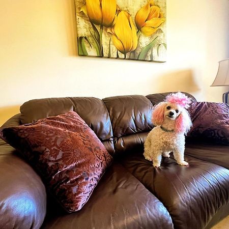 Beautiful Apartment With Pools, Playground And Paddle Tennis - Family Friendly And Near Vithas Hospital - Free Parking In Garage Benalmádena Εξωτερικό φωτογραφία