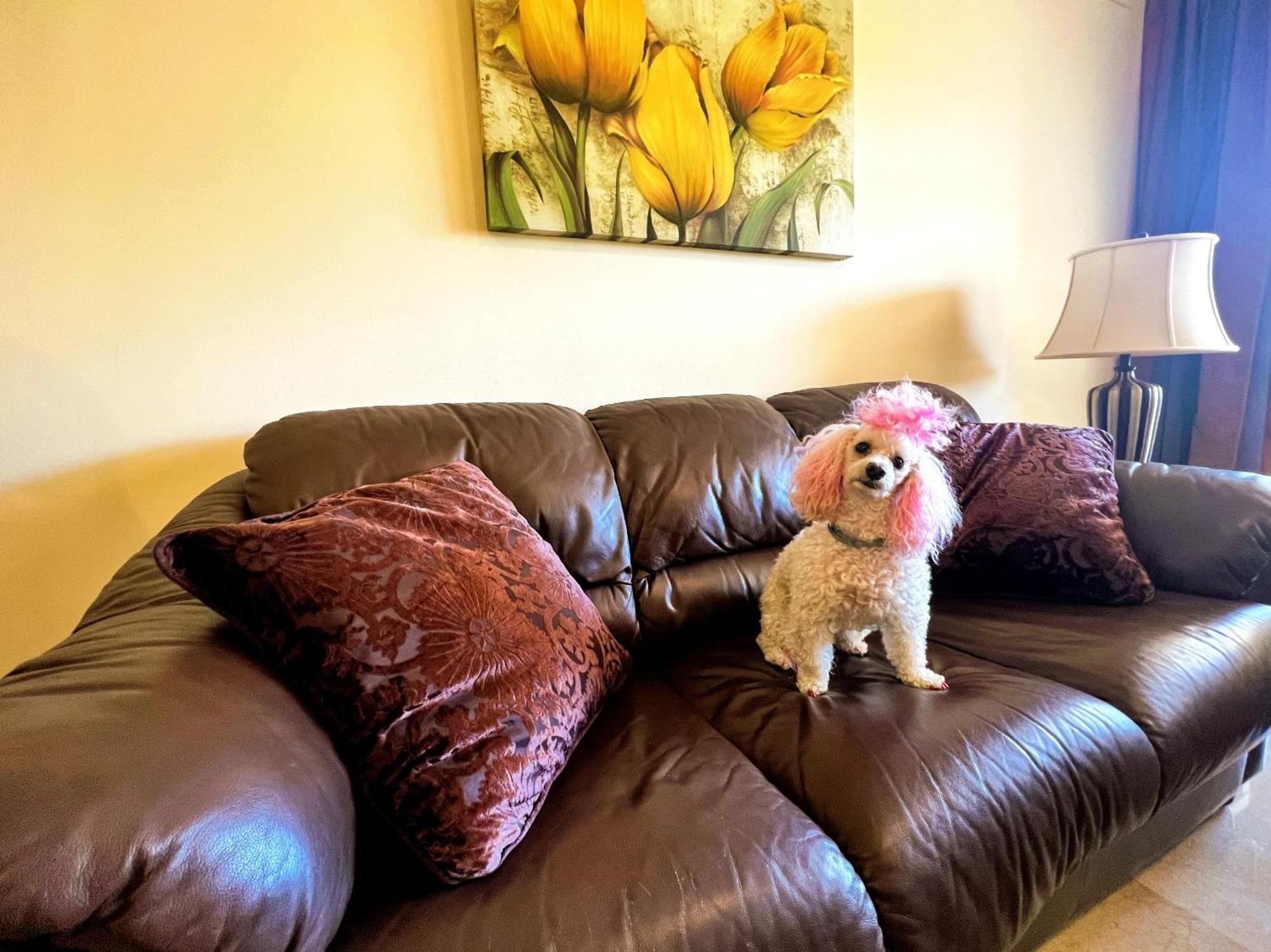 Beautiful Apartment With Pools, Playground And Paddle Tennis - Family Friendly And Near Vithas Hospital - Free Parking In Garage Benalmádena Εξωτερικό φωτογραφία